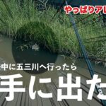 【バス釣り】夏が終わるその前に五三川