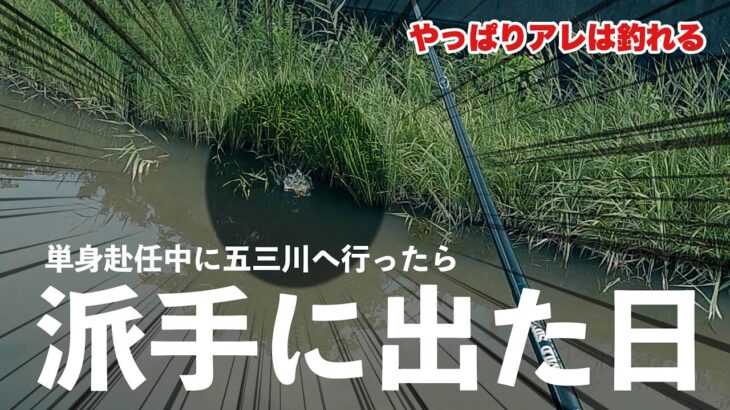 【バス釣り】夏が終わるその前に五三川