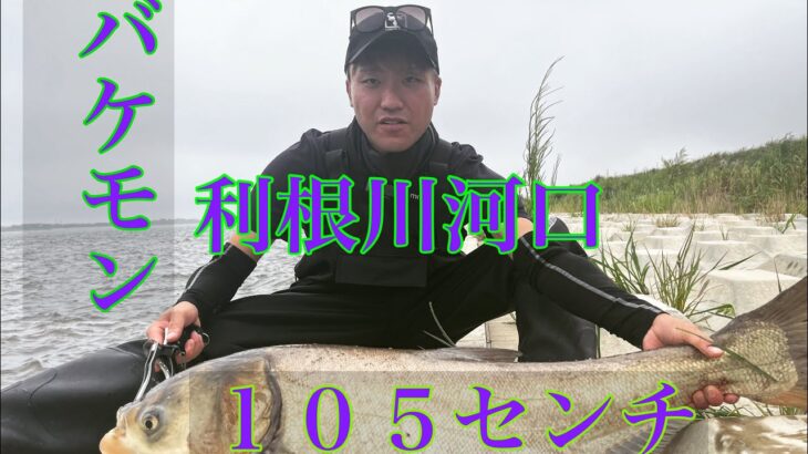 利根川河口でシーバス釣りしてたらバケモン釣れた