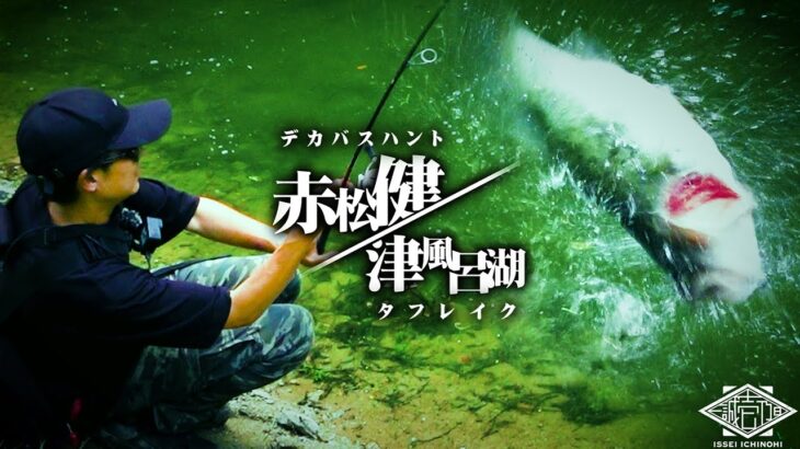 【衝撃の魚体】“サイトで狂う”津風呂湖の巨大バス【赤松健】