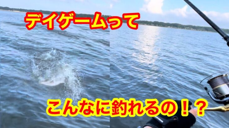 【シーバス釣行】デイシーバスはやっぱり最高だった件　後編