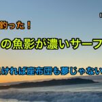 【関東版】実際に釣った！ヒラメの魚影が濃いサーフランキング！！