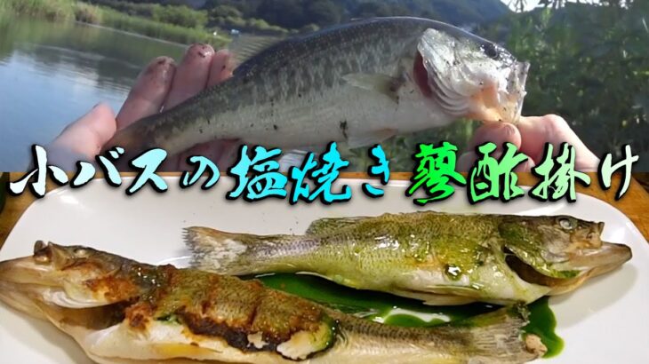 ブラックバスを釣って食う［小バスの塩焼き蓼酢掛け］