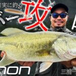 【爆釣/丸見えバイト】特殊リグ解禁！「夏バスを確実に釣るリバー攻略」 三浦一真×紀の川