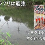 ブラックバスを釣りたい方は試してみて！！