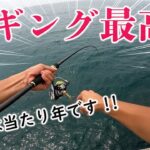 【今年のエギング釣果がヤバい】またアオリイカが釣れた！厳しい条件の短時間釣行でも絶好ポイントに助けられた・・・