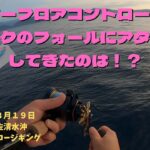 シーフロアコントロール【アーク】のフォールにアタックしてきたのは！？（２０２２年８月１９日高知県土佐清水沖ジギング＆スロージギング動画）