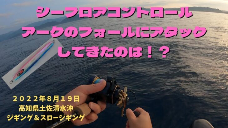 シーフロアコントロール【アーク】のフォールにアタックしてきたのは！？（２０２２年８月１９日高知県土佐清水沖ジギング＆スロージギング動画）