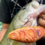 【衝撃映像】たい焼きで本物の魚を釣ってみた。