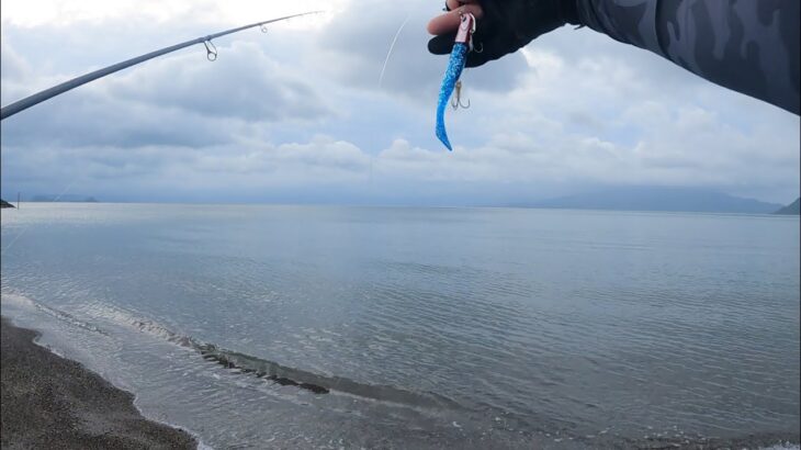 【ヒラメ釣り】【サーフ】ヒラメが釣れたが…ヒラメよりも超高級な魚が釣れた！