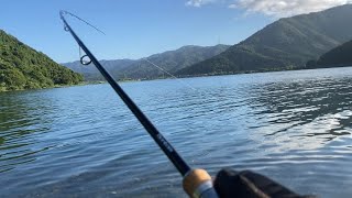 【奥琵琶湖】夏の奥琵琶湖で数釣り