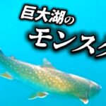 【猪苗代湖】記録更新！大イワナ【レイクジギング】