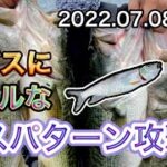 【バス釣り】ケタバスを使ってリアルなハスパターンをやってみたらヤバかった「ブラックバス」「琵琶湖」「餌釣り」