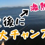 【真夏のデイシーバス】一瞬の変化が釣果をもたらす！このタイミングとても釣れます！