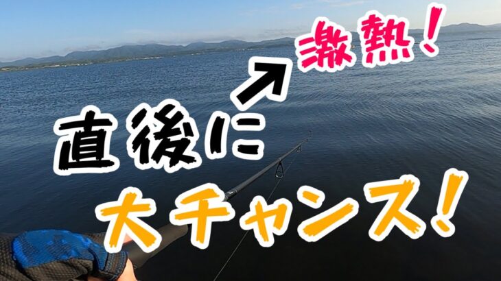 【真夏のデイシーバス】一瞬の変化が釣果をもたらす！このタイミングとても釣れます！