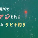 深場を探る釣り ぶっこみサビキ釣り 仕掛けの動き方　水中映像