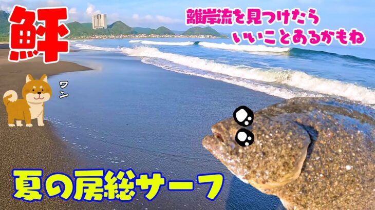 【サーフヒラメ】離岸流がわからなければこうすれば良い！サーフ初心者必見