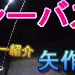 【シーバス】一級河川にてシーバス釣り！！