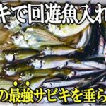 アジを狙ってサビキ釣りしたら回遊魚が入れ食い無限で大漁だった！２種類の【最強のサビキ】が足下で炸裂！まさかの空にはあれが・・・