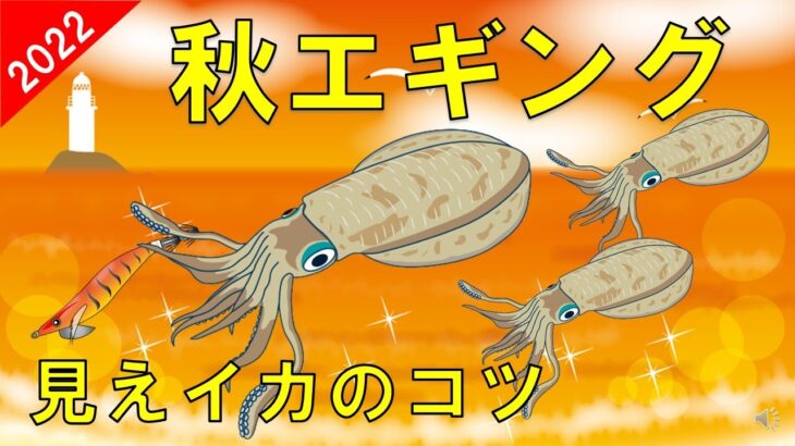 【秋エギングのポイント】春とは違う秋イカの釣り方と探し方