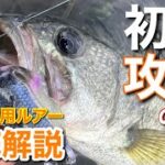 【バス釣りシーズナル】季節の変わり目の注意点。夏から初秋は〇と〇を意識せよ。【水の旅＃ １５６】