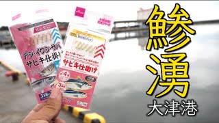 大津港がアジ湧きまくりなのでサビキ釣りをした結果・・・　北茨城　釣り