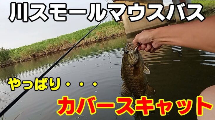 【川スモールマウスバス】タフな状況を打開するのはやっぱりコレ！！