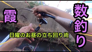 【霞水系】日曜は特に釣り人だらけ。釣れるエリア探し！！ラーメン釣りチャンネル。