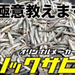 【初心者必見】極意教えます！トリックサビキの釣り方！オリジナルメーカー海釣り公園