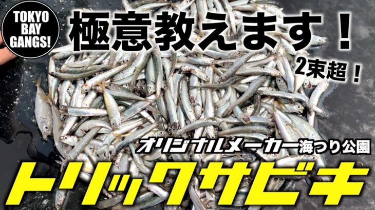 【初心者必見】極意教えます！トリックサビキの釣り方！オリジナルメーカー海釣り公園