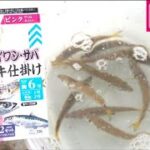 全部ダイソー釣具使用でアジのサビキ釣り　釣れる時間は？　いわき市江名港