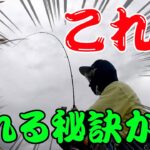 【五三川】これが釣れる秘訣か・・・気が付いちゃった・・・【バス釣り】