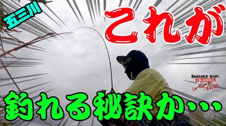 【五三川】これが釣れる秘訣か・・・気が付いちゃった・・・【バス釣り】