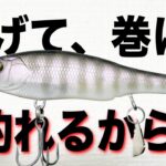 ハードルアーで釣りたいならコレ投げろ！巻くだけで連発！！