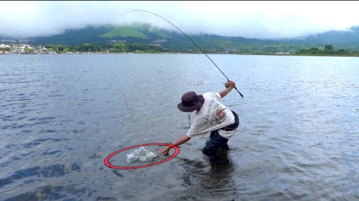 【神回】湖の中で釣りしたら想像を超える魚が釣れた！
