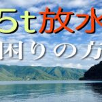 おかっぱりでも数釣りが楽しめる奥琵琶湖が楽しすぎた件【琵琶湖バス釣り】