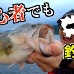 【聖地芦ノ湖】どんな下手クソでも釣れるルアーw