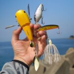 バス釣りルアーで海釣りしてみたら凄い釣果にww