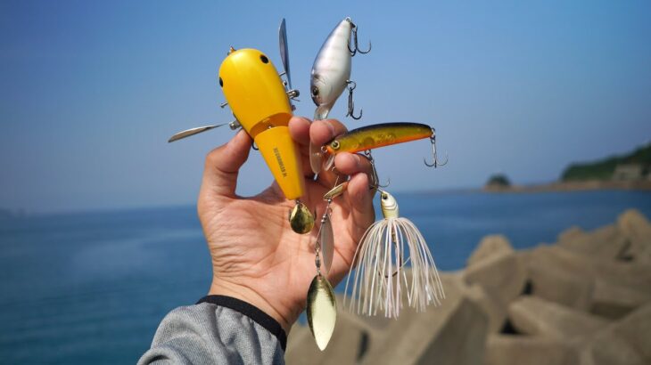 バス釣りルアーで海釣りしてみたら凄い釣果にww