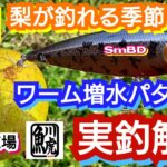 yasu 8月増水ワームパターン解説【バス釣り】川バス道場スモールマウスバス2022年8月SmallmouthbassFishing