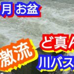 yasu 8月激流でバス釣り【川スモールマウスバス】Smallmouthbassfishing/2022年8月