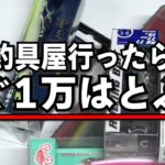 釣具屋寄ったらちょっとのつもりがすぐ1万円行く説！ボウズくらったので釣る為に釣具買ってきました