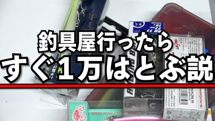 釣具屋寄ったらちょっとのつもりがすぐ1万円行く説！ボウズくらったので釣る為に釣具買ってきました