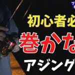 【アジング】初心者必見！1.0g以下のジグヘッドで釣る！巻かないアジングとは？プランクトンパターンでの釣り方　豆アジ