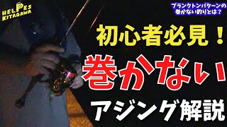 【アジング】初心者必見！1.0g以下のジグヘッドで釣る！巻かないアジングとは？プランクトンパターンでの釣り方　豆アジ