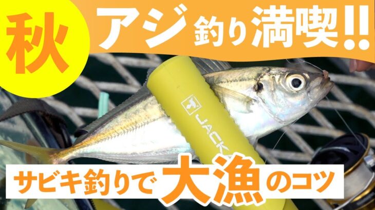 【10月海釣り】秋のアジ大漁!サビキ釣りで釣果を伸ばすコツをご紹介!水野浩聡/石川文菜