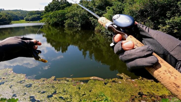 秋のバス釣り、誰でも釣果が10倍になる驚きのワームがコレ「野池」「初心者」