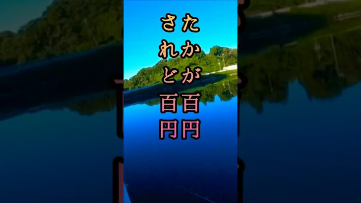 ダイソールアーってホンマに釣れんのかよ⁉️ 100均ルアー バス釣り