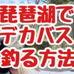 【琵琶湖 バス釣り】エサより釣れる ニシネルアーワークス エリー115TWによる北湖東岸での事故 ブラックバス生息調査釣行動画2022年9月撮影