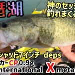 琵琶湖バス釣り１日で驚異の12キロオーバー！サカマタシャッド７インチにネイルシンカーCP 0.9ｇのセッティングでやばすぎるアクション！ランカーバスも躊躇なく喰う！レンタルボートROUTE558